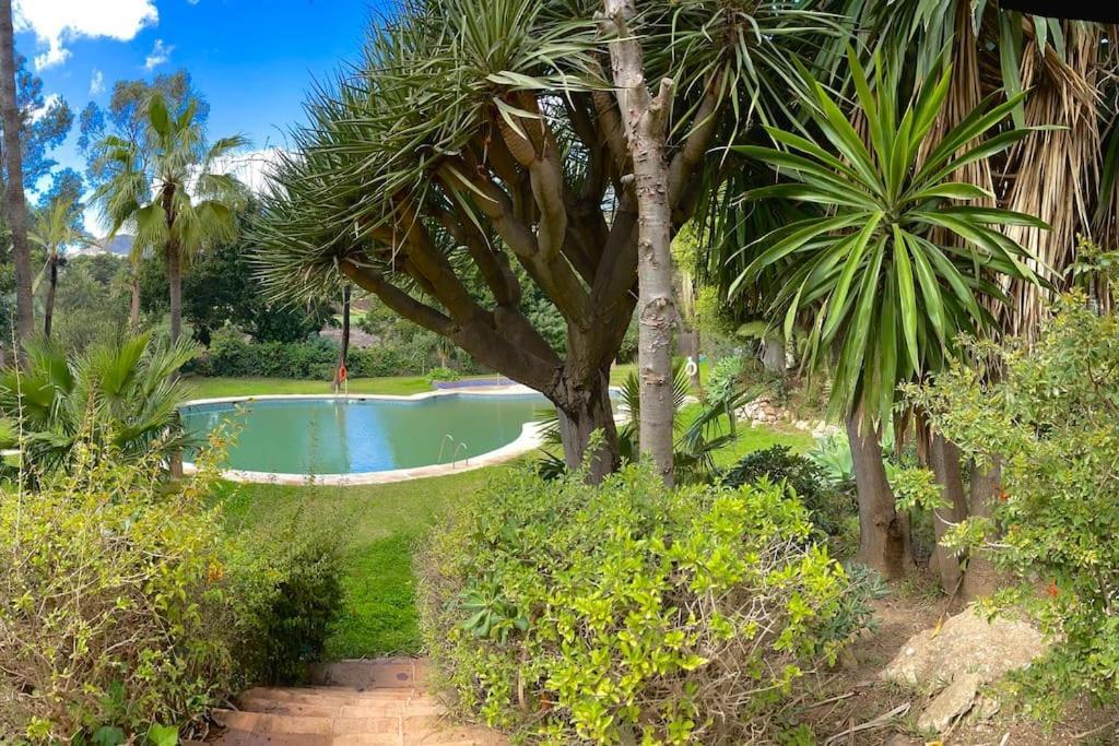 Klimatyczny Loft I Egzotyczny Basen Appartement Benalmádena