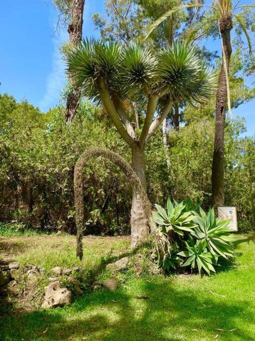 Klimatyczny Loft I Egzotyczny Basen Appartement Benalmádena
