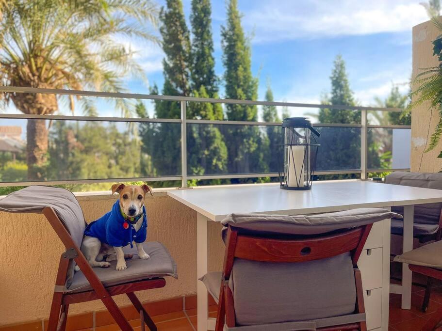 Appartement Klimatyczny Loft I Egzotyczny Basen