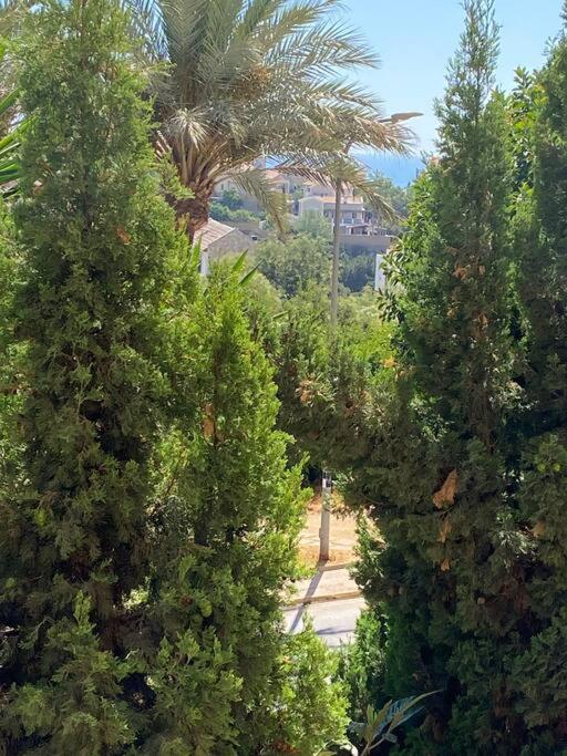 Klimatyczny Loft I Egzotyczny Basen Appartement Benalmádena